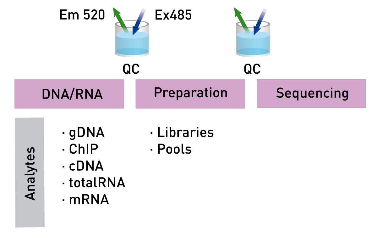 Fig. 1: Quality management in NGS workﬂows using ﬂuorometric nucleic acid quantiﬁcation. Fluorometric quantiﬁcation gates samples between different steps of the workﬂow (analytes: gDNA: genomic DNA, ChIP: Chromatin immunoprecipitation, cDNA: complementary DNA, mRNA: messenger RNA, QC: quality control).
