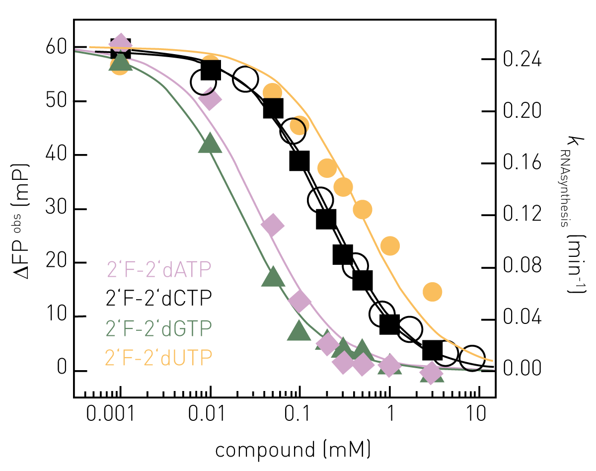 Fig. 4: Inhibition of RNA synthesis in dose-response Characterization of NTP-analogues inhibiting FluPol catalysed RNA synthesis in HTS-compatible mode. Here, FP-signals were recorded after 5 minutes reaction time and yielded IC50-values of 0.03 mM, 0.2 mM, 0.02 mM and 0.45 mM for 2’F-2’dATP (purple diamonds), 2’F-2’dCTP (black squares), 2’F-2’dGTP (green triangles) and 2’F-2’dUTP (yellow circles), respectively. For comparison, a similar IC50-valueof 0.2 mM for 2’F-2’dCTP is determined by recording and ﬁ tting complete RNA synthesis kinetics (see Figure 3) and analysing the observed rate constants (black open circles) Modiﬁed from (2).