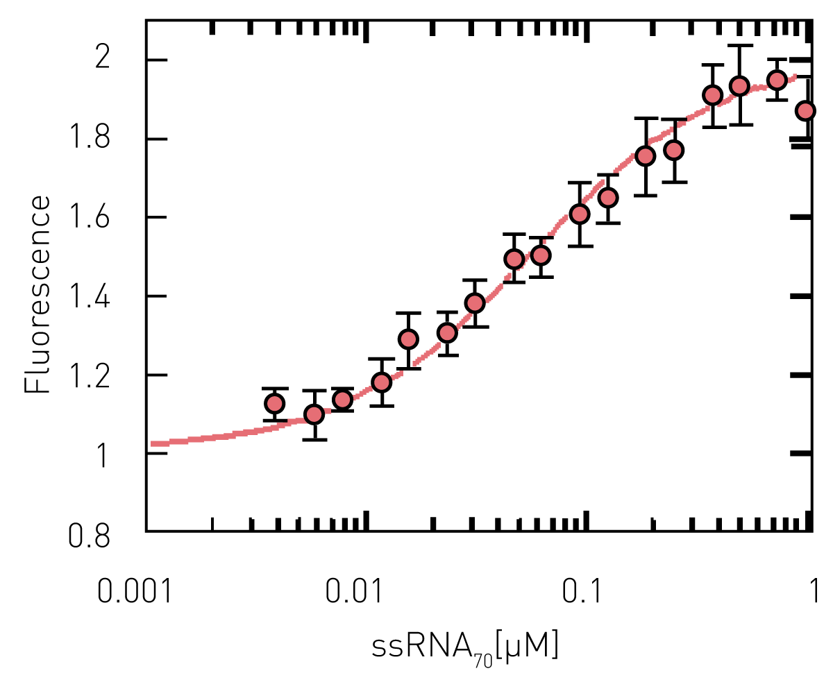 Fluorescence intensity of MDCC-SSB increases with ssRNA70 concentration Fig. 3: Fluorescence intensity of MDCC-SSB increases with ssRNA70 concentration.