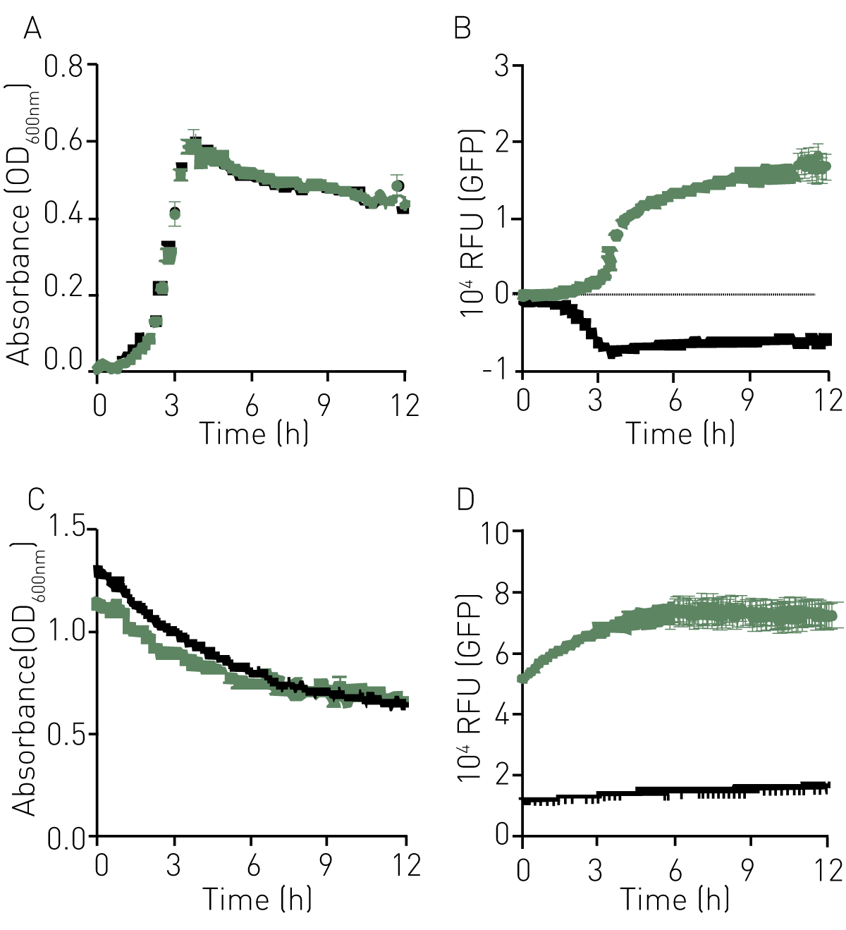 Fig. 1: Absorbance (A) and Fluorescence intensity proﬁle (B) of GFP+ GBS (green) and GFP- GBS (black) grown in CDM media, or Absorbance (C) and Fluorescence proﬁles (D) of stationary phase cells in a standard buffer (PBS).