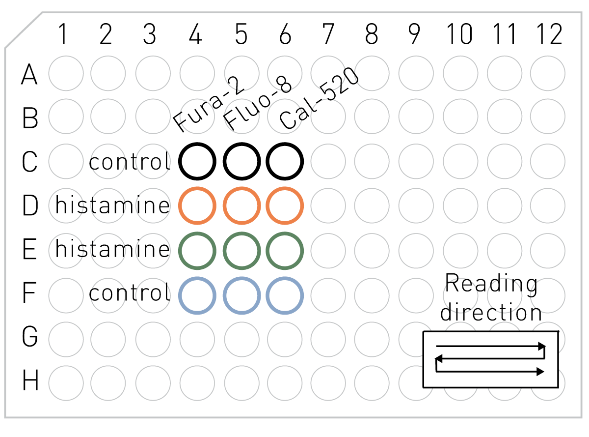 Fig. 1: Plate layout and assay principle. Cells were loaded with either Fura-2AM, Fluo-8AM or Cal-520AM and ﬂ uorescence recorded sequentially as indicated in well kinetic mode (2 min/well). Thus control replicate 1 and 2 are separated temporally by 20 minutes.