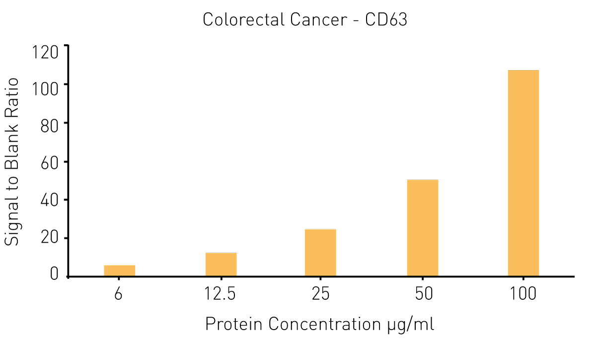 Fig. 5: Signal to blank ratio of CD63 detection on exosomes from prostate cancer cells. To obtain the datapoints average values were used (N=2).