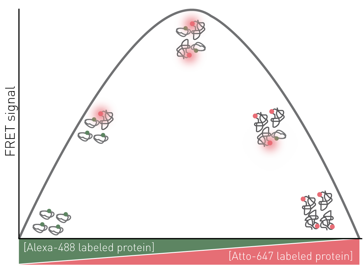 Fig. 1: Assay Principle for FRET Job plot.