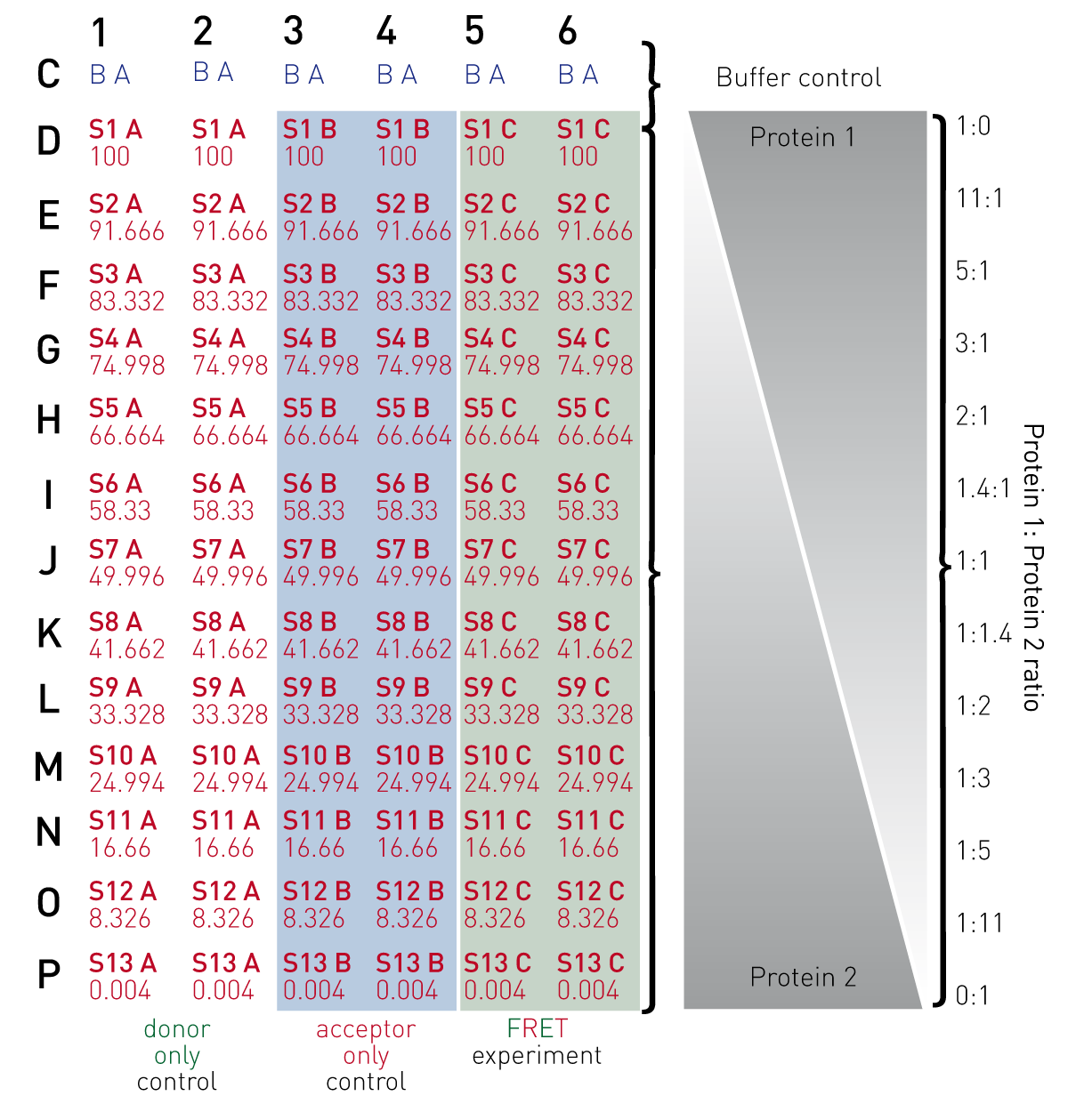 Fig. 2: 384-well plate preparation layout.