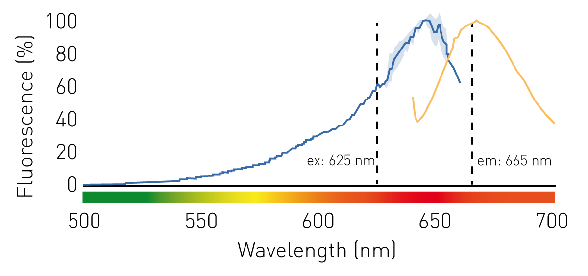 Fig. 2: Excitation (blue) and emission (orange) spectra of the RNA BR Qubit binding dyes. Continuous error of three technical replicates. The excitation and emission wavelengths selected for the assay are marked with vertical dashed lines.