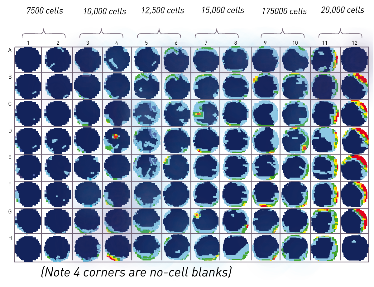Fig. 2: Heat map of cell titration across plate (note corners contain no cells and are used for signal to blank calculation).