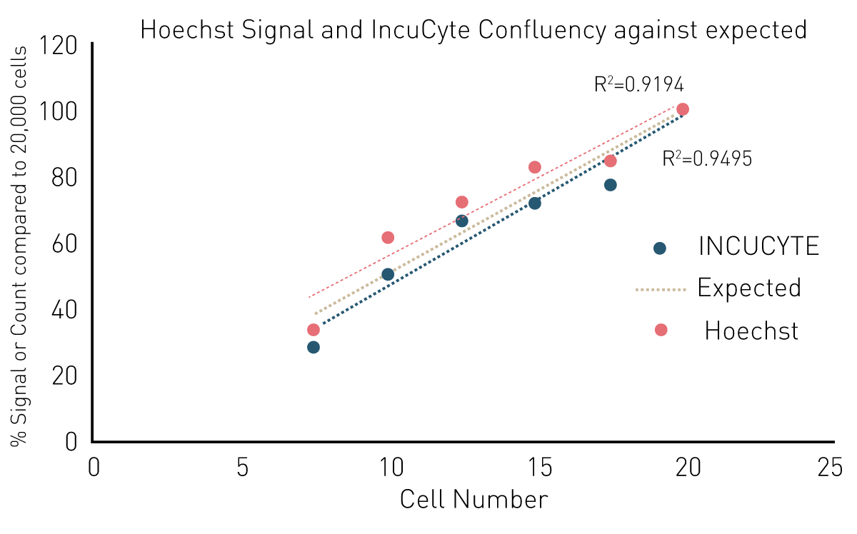 Fig. 3: Cell quantification signals as percent of maximum signal at 20,000 cells plotted against seeding density. Fluorescence of Hoechst stained cells was acquired on the CLARIOstar Plus (red). Microscopic determination of confluency was measured on IncuCyte Zoom (blue).