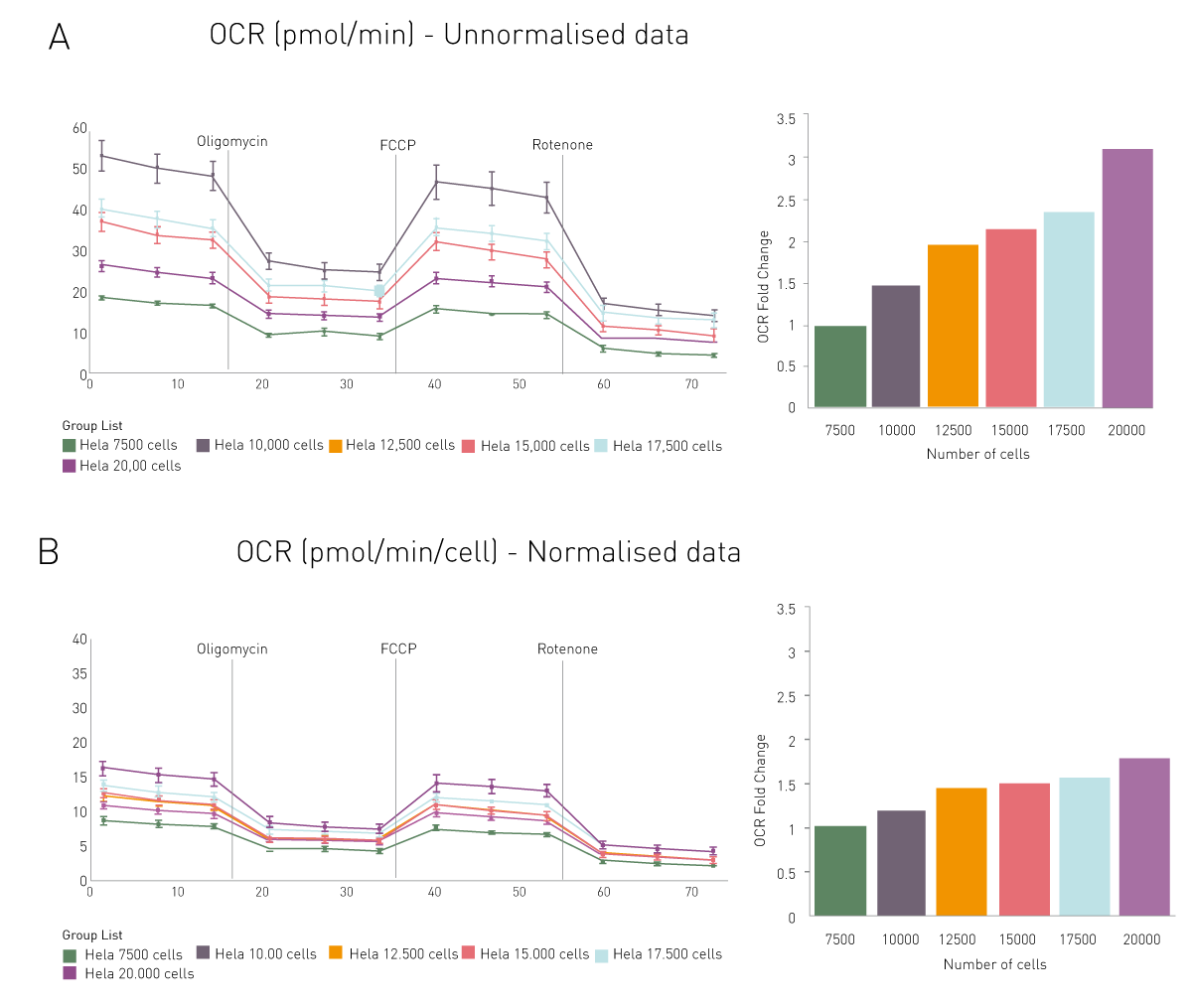 Fig. 3: Oxygen Consumption Rate during the Seahorse Mito Stress Assay. Raw data from seahorse (A) before (pmol/min) and (B) after normalisation (pmol/min/cells) are shown. OCRs are also given as fold changes based on the lowest cell density in a bar chart.