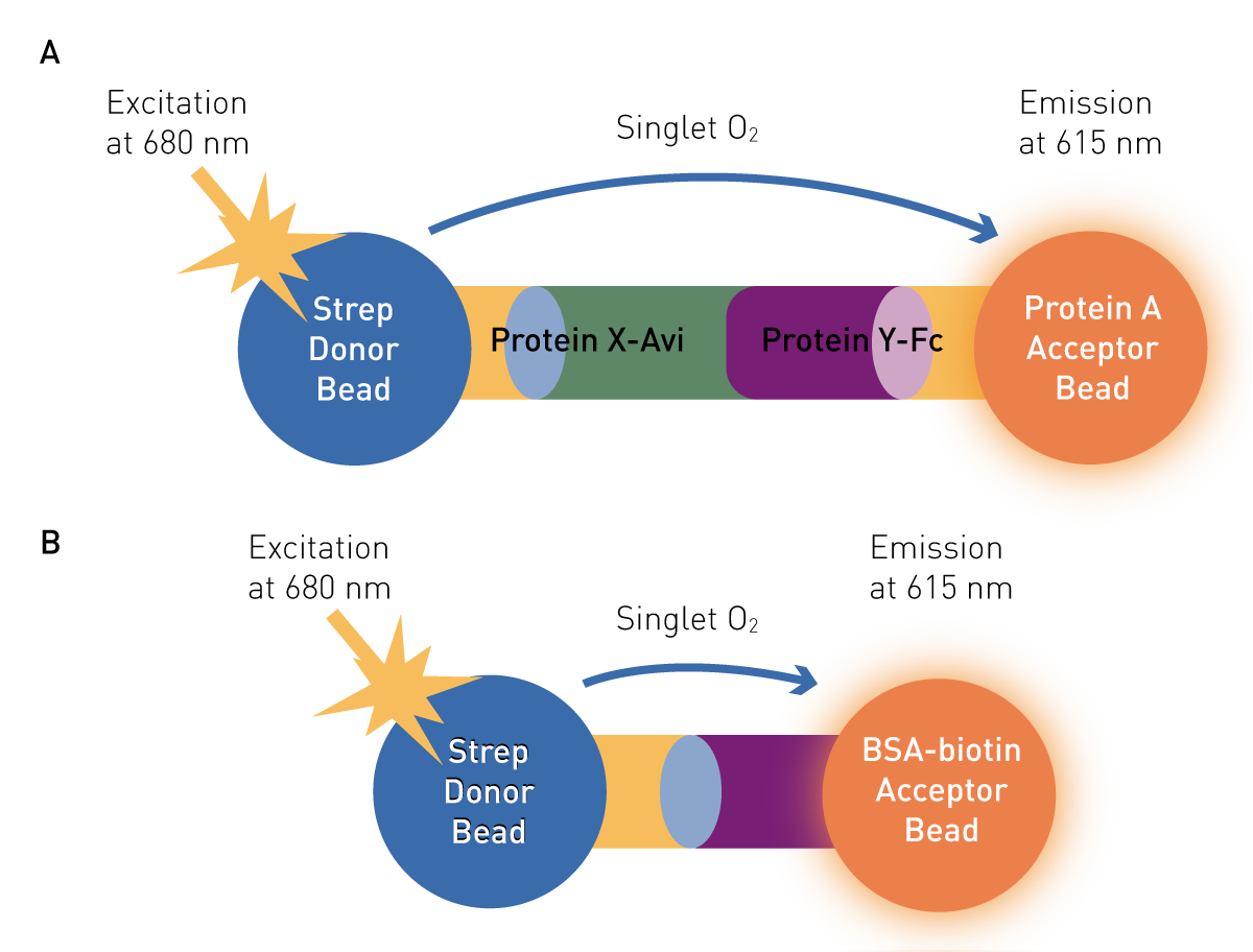 Fig. 1: Assay Principles for approaches used A) PPI AlphaLISA Assay Principle B) Tru-Hits counter-screen principle