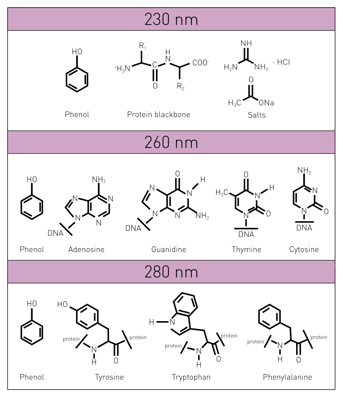 Table 1: Absorbance of nucleobases and potential contaminants