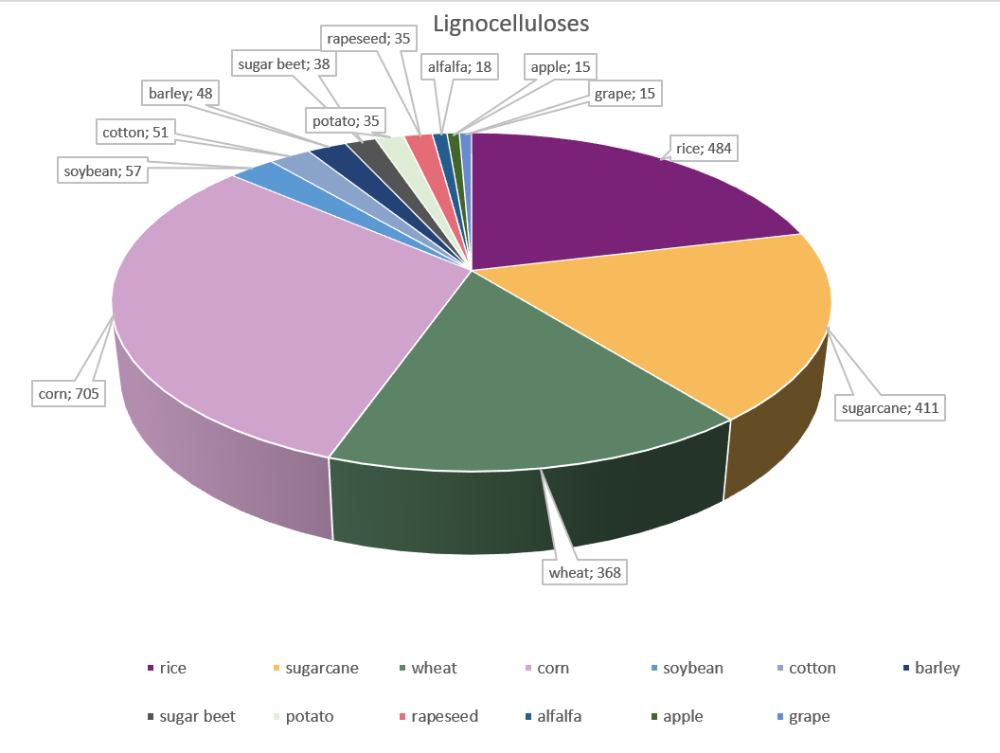 Fig. 1: Sources of lignocellulose in biofuel research.