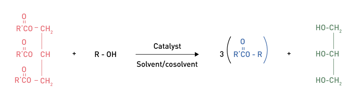 Fig. 2: Transesterification Process of Biofuels.