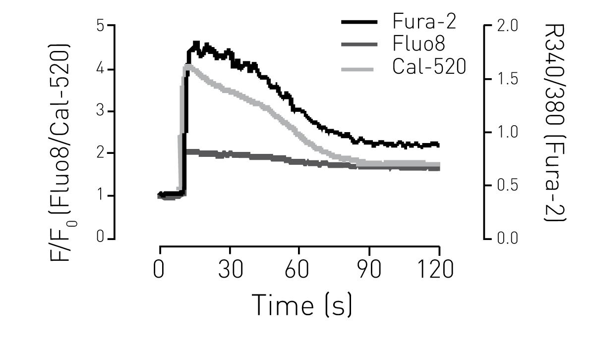Fig. 2: Intracellular Ca2+ measurements in a 96-well plate using various calcium dyes. HUVECs were loaded with the indicated dyes and stimulated with histamine.