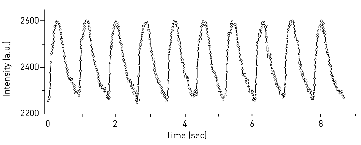 Fig. 4: High sampling rate (0.01 s) used for the measurement of Ca2+ transients in engineered heart tissues.