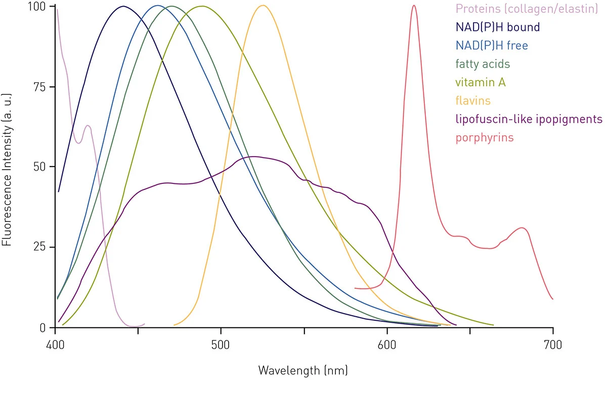 Fig. 4: Fluorescence emission spectra of endogenous fluorophores responsible for autofluorescence in cell-based assays.