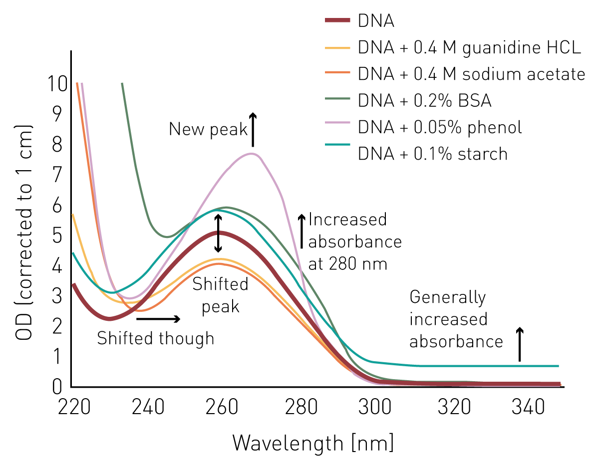 Fig. 2: Absorbance spectra of DNA samples, pure or with potential contaminants, blank corrected.