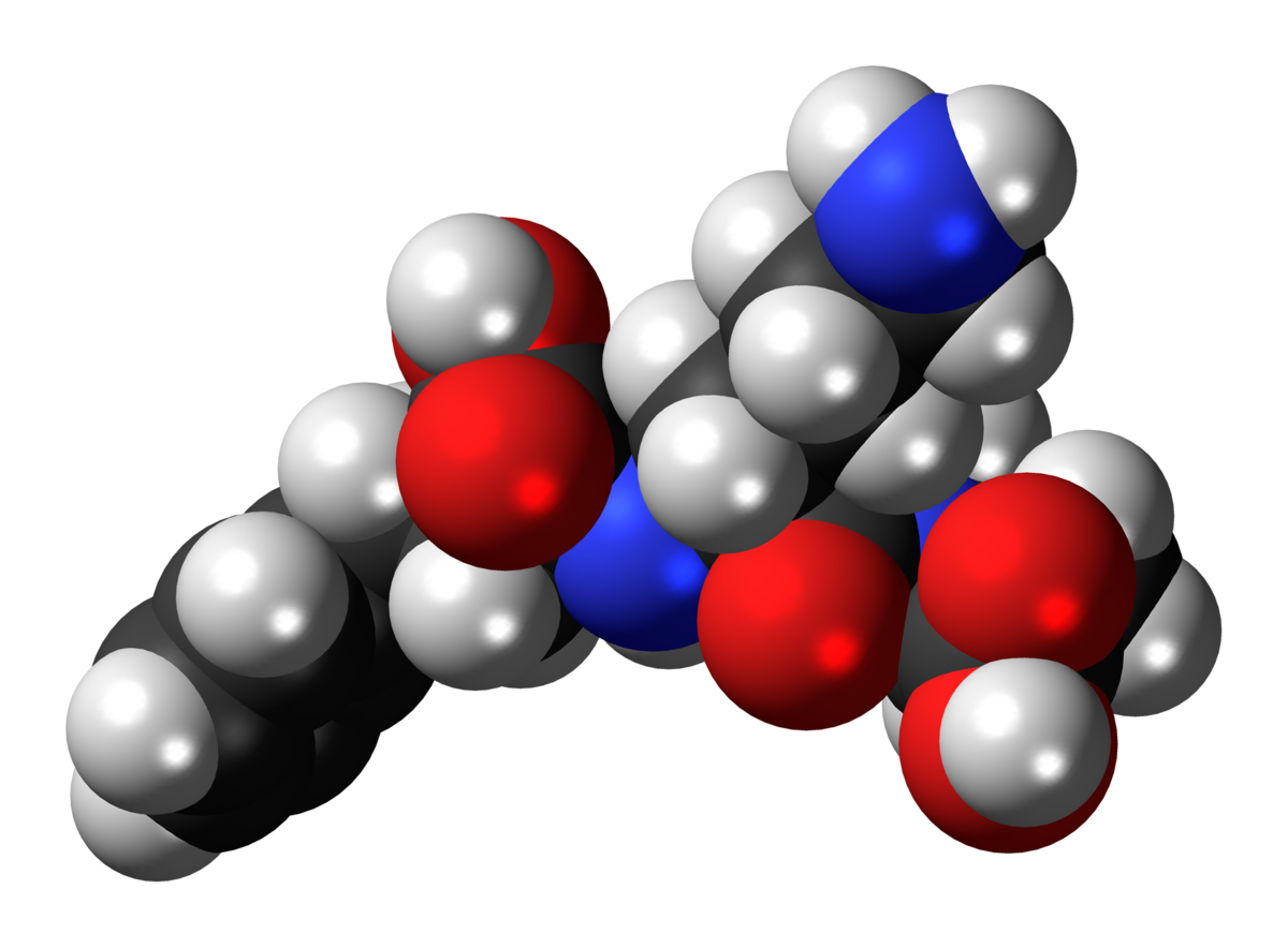 Fig. 2: Space filling of lisinopril an ACE inhibitor.