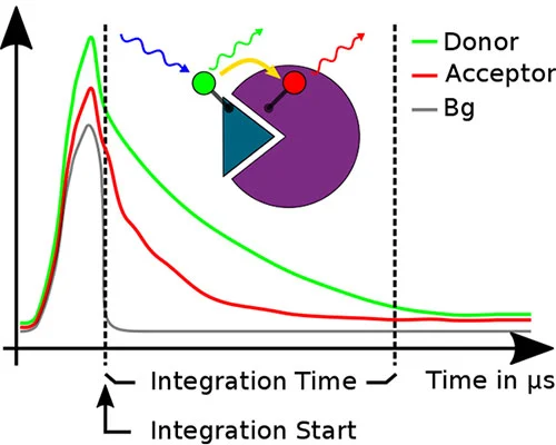 Fig. 1: Schematic of the TR-FRET technology. Donor (green) transfers energy to the acceptor (red) that emits light. Both signals have a longer lifetime than the unspecific background autofluorescence signal (Bg, grey) and can be measured in the integration time window.