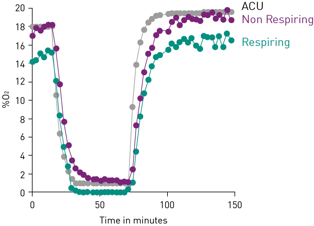 Fig. 6: Intracellular oxygen concentration in an I/R experiment. Liver cells (HepG2) were monitored under various conditions. Respiring cells = untreated HepG2 cells, non-respiring cells = antimycin treated, uncoupled cells = FCCP treated.