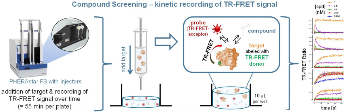 Fig. 4: Principle of a TR-FRET-based kinetic assay. Competitive compound and fluorescent tracer are placed in the microplate and the reaction is started by adding a Tb-coupled kinase (left). TR-FRET signal is recorded immediately after target addition and depends on the presence of competitive kinase inhibitors (middle). The deviation of the tracer-only curve to the tracer + competitor curve provides information about the binding kinetics of the unlabeled competitor molecule (right).