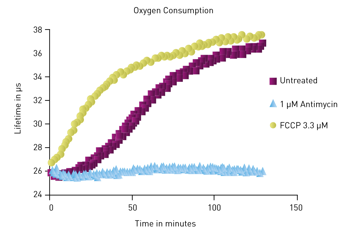 Figure 1: Different levels of oxygen consumption displayed by cells treated with antimycin and FCCP as compared to untreated cells
