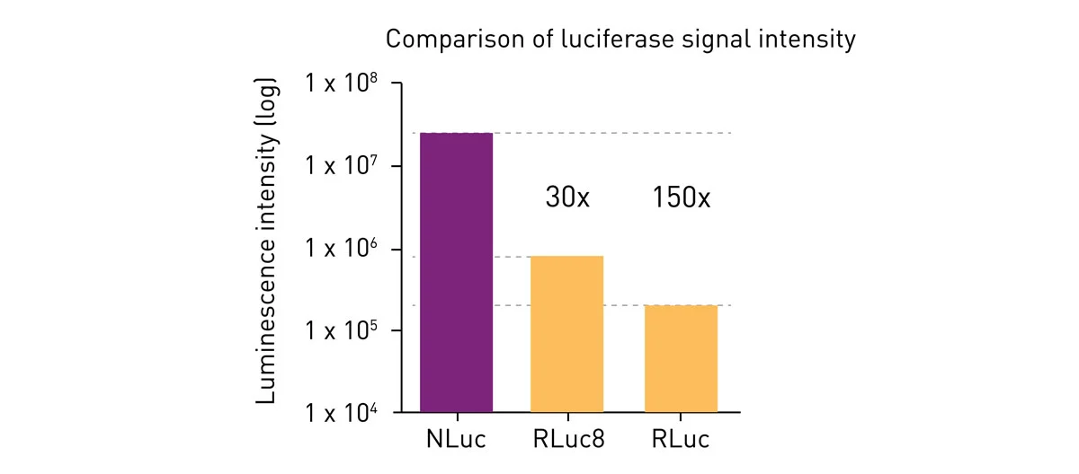 Fig. 4: Comparison of the emission intensity of Nanoluciferase (Nluc), Rluc and a modified Rluc (Rluc8).
