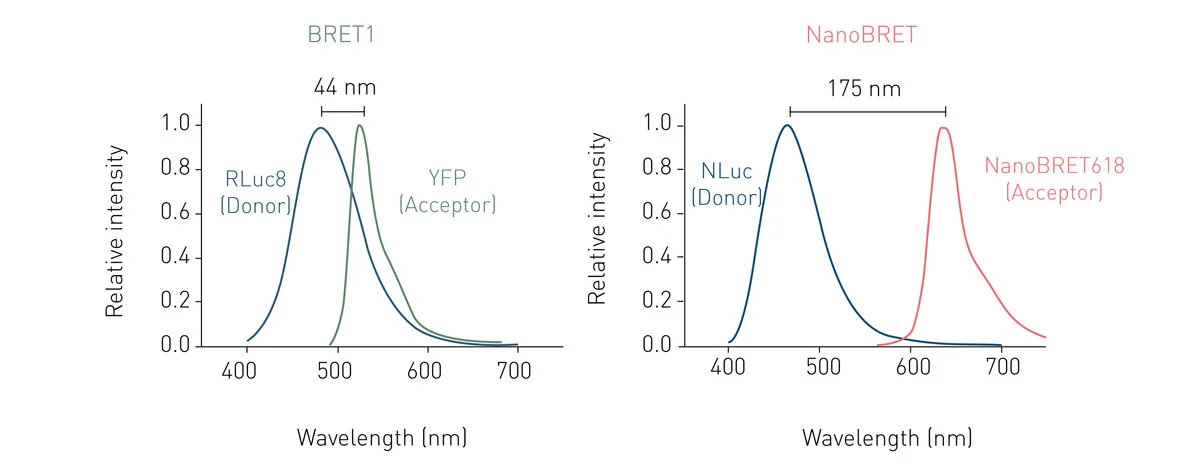 Fig. 7: Comparison of the spectral separation of the BRET1 and NanoBRET setups. NanoBRET´s larger separation significantly decreases background noise.