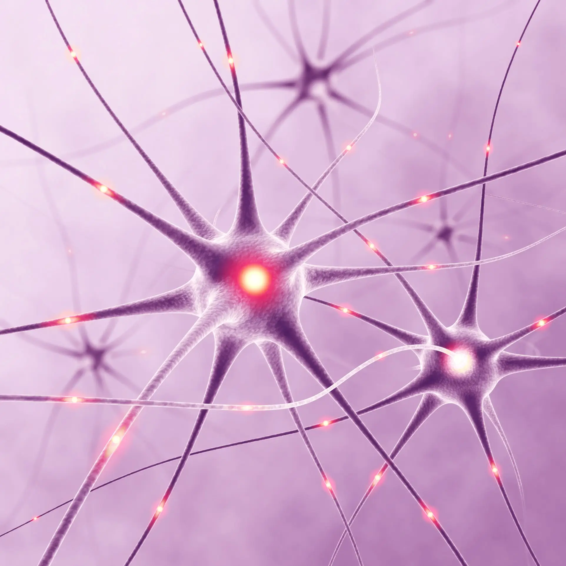 Fig. 1: Nerve cells (neurons) are the target of neurodegeneration. Loss of neurons and neuronal function is due to abnormal protein aggregation or reduced signaling. In Parkinson's Disease, protein accumulations of alpha-synuclein occur inside the cell (Lewy Bodies, red in the picture) and disrupt neuron function.