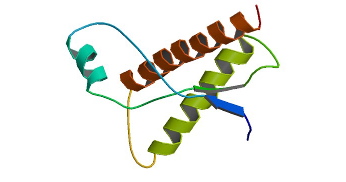 Fig. 2: Structure of the bovine prion protein. Authors: Lopez-Garcia, F., Zahn, R., Riek, R., Wuthrich, K. & RCSB, source: http://www.rcsb.org/pdb/explore/explore.do?structureId=1DX0#