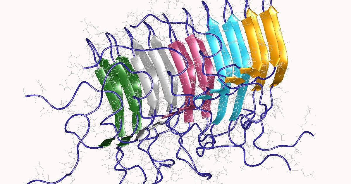 Fig. 4: Prion proteins aggregated in amyloid form. Authors: Wasmer, C., Lange, A., Van Melckebeke, H., Siemer, A., Riek, R., Meier, B.H. Source: https://www.rcsb.org/structure/2rnm