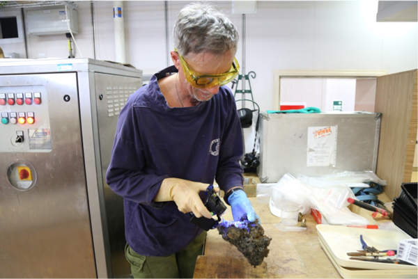 Fig. 1: Peter Karuso collected 20.5 tonnes of sponge and preserved 1,551 sponge tissue samples.