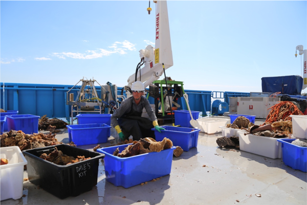 Fig. 3: On deck of the purpose-built research vessel RV Investigator.