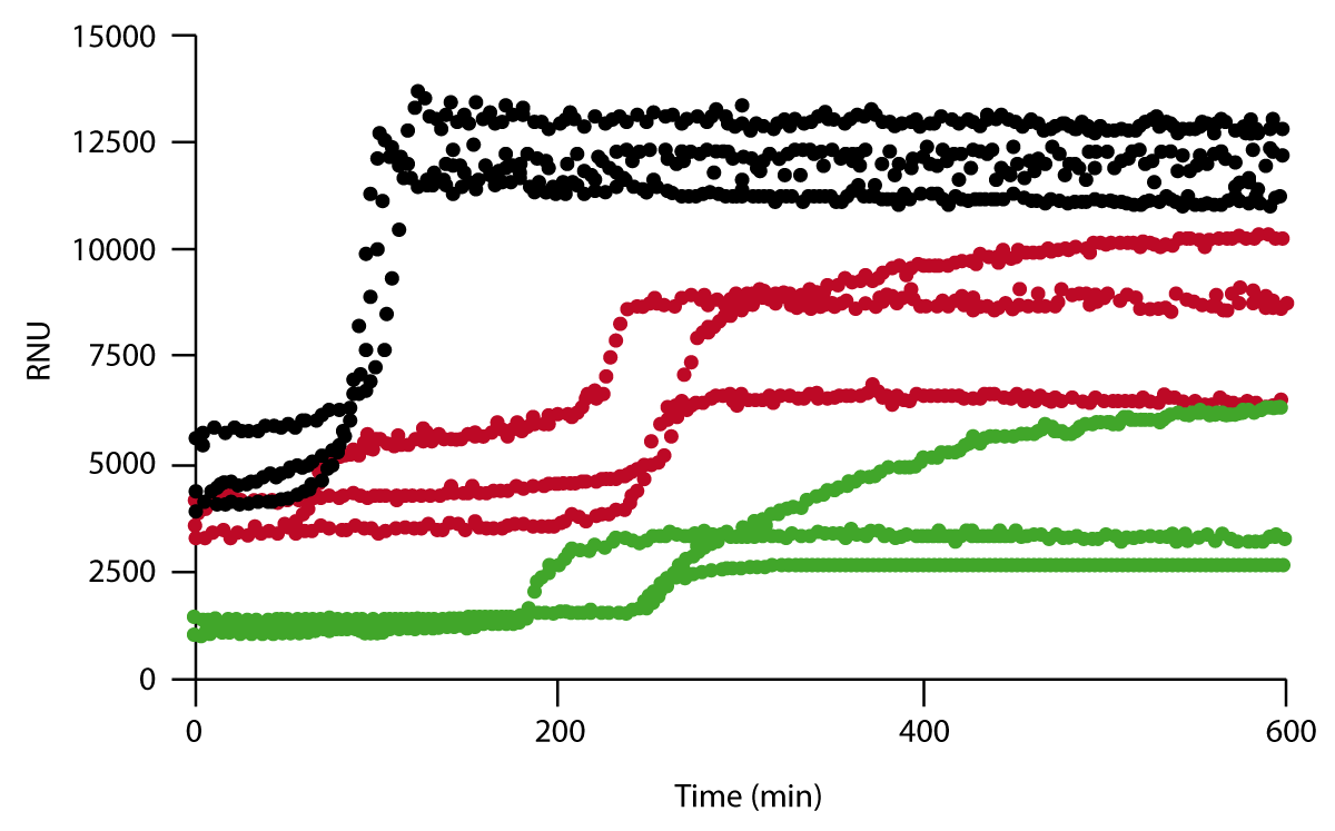 Fig. 1: Nephelometry assay using sera from adult 10- to 16-month- old noncalcifying wild-type DBA/2 mice (green), noncalcifying heterozygous fetuin-A+/2 knockout mice having half-normal serum fetuin-A (red), and heavily calcifying fetuin-A–deficient homozygous fetuin-A2/2 knockout mice (black).
