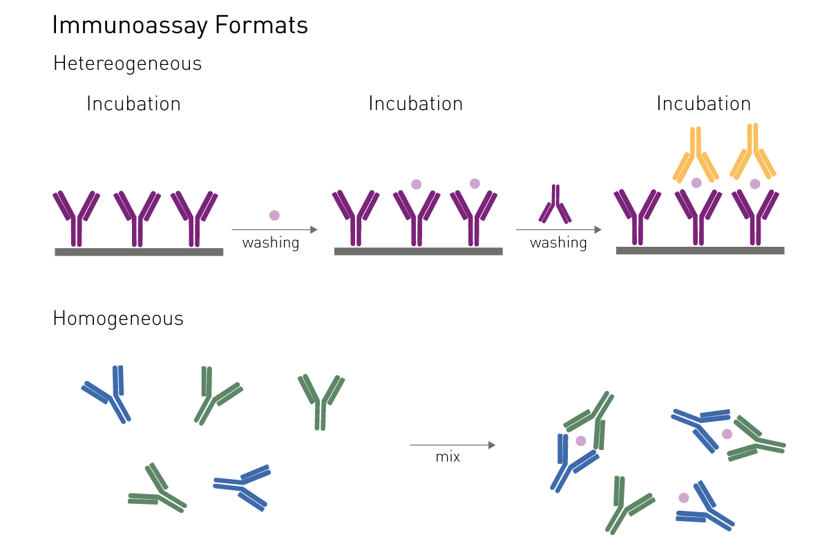 Fig. 9: the difference between heterogeneous (ELISA) and homogeneous immunoassays. Due to their nature and chemistry, homogeneous immunoassays do not require washing steps to remove unbound components from the well. They can be immediately measured upon incubation.