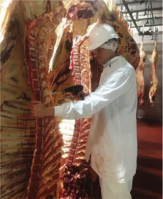 Benjamin Holman is working with meat